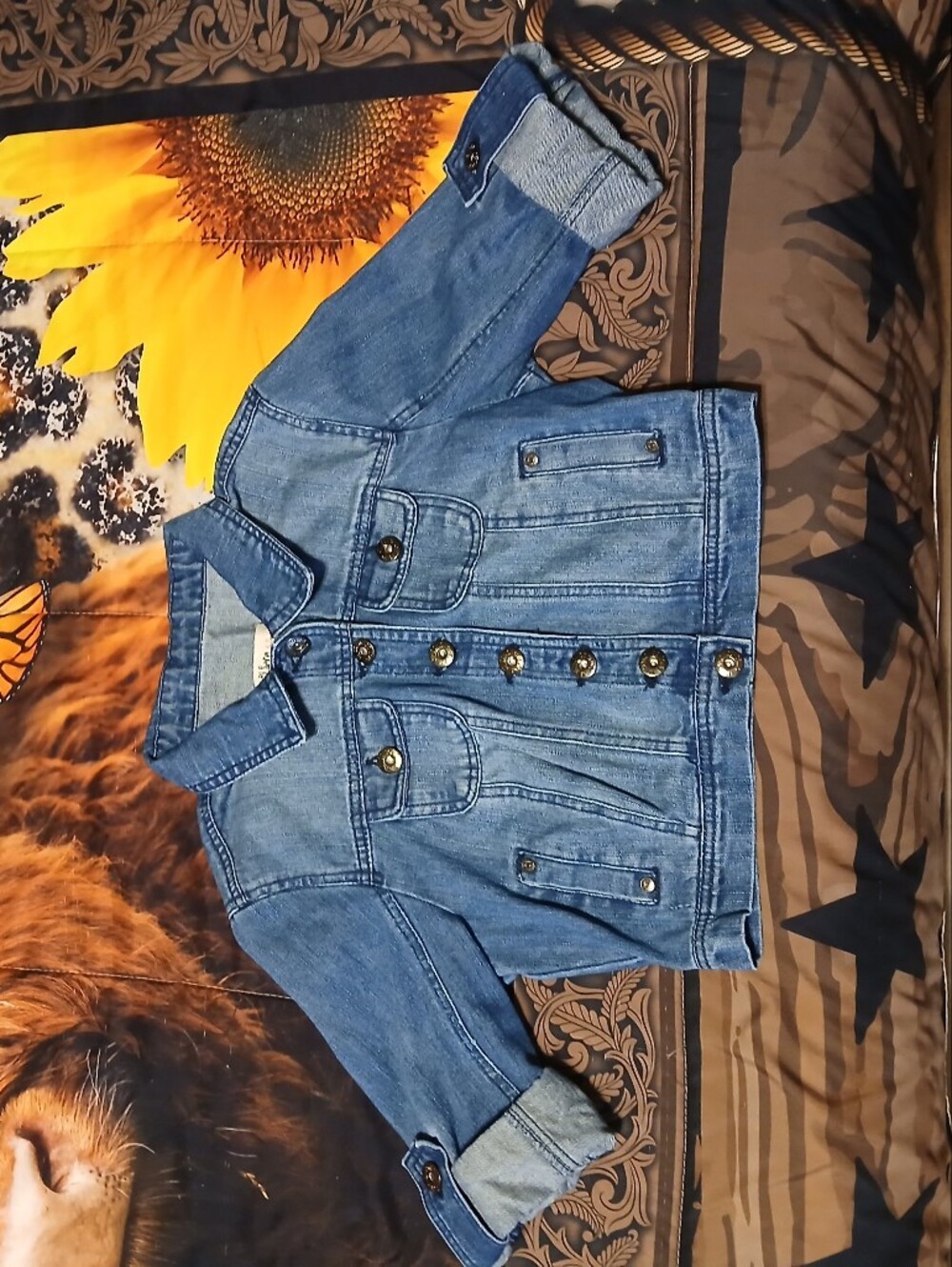 Ci Sono by Cavalini Women’s L Cropped Denim Jean Jacket Tab Sleeve Blue